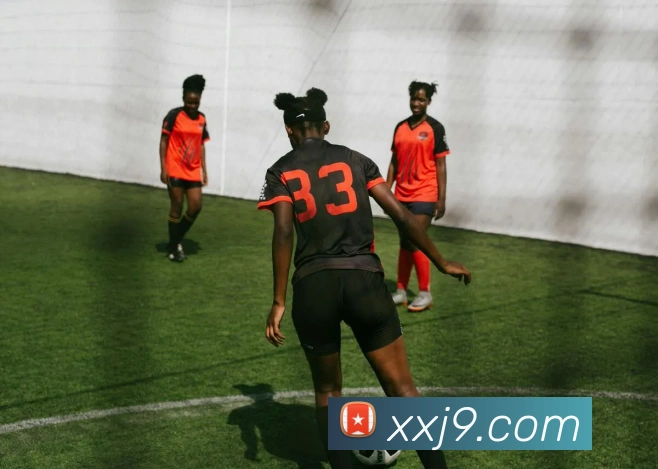 j9九游会国际平台生态图