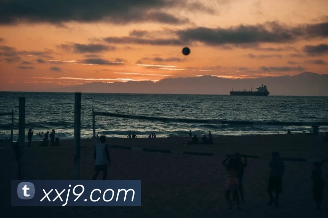 j9九游会国际全站App